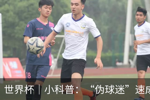 世界杯｜小科普：“伪球迷”速成手册